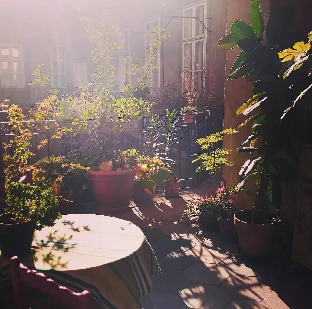 Tiny Studio In The Heart Of Budapest Appartamento